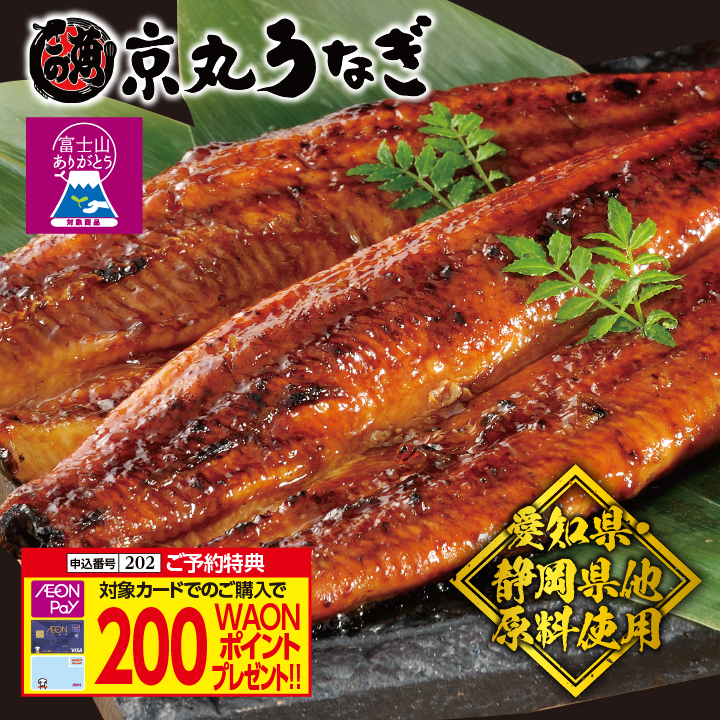 【京丸うなぎ】国内産うなぎ長蒲焼【原料原産地：愛知県、静岡県他】 商品サムネイル